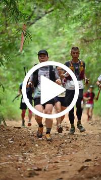 BIB:  <button type="button" onclick="openModal(26807837)" class="btn btn-primary btn-sm float-right" data-toggle="modal" data-target=".modal-high-quality">
                <i class="fa fa-download"></i> Download
                </button>